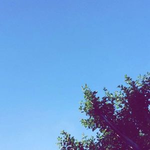 Meet your Posher, Juana